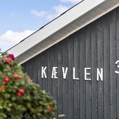 Fan010-fano-vagtbjerg-klit-3 Ferienhaus Fanø